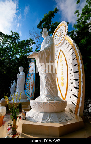 Drei sieben Meter Statuen von Buddhas und Bodhisattvas in ewiger Meditation, Ta Cu Berg, Provinz Binh Thuan, Vietnam Stockfoto