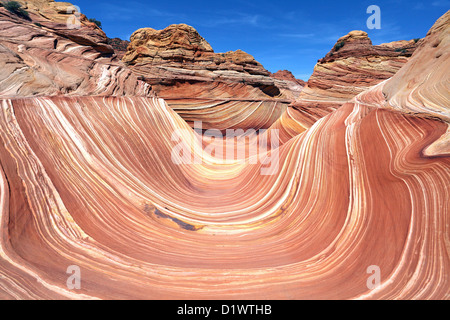 Die Welle Streifen im Sandstein, Sandstein, Coyote Butte Norden, Vermillion Cliffs Wilderness, Arizona, USA bunte Berge Stockfoto