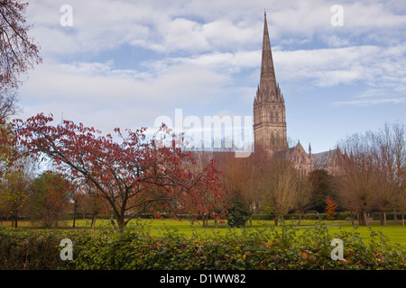 Kathedrale von Salisbury aus der Nähe gesehen. Stockfoto