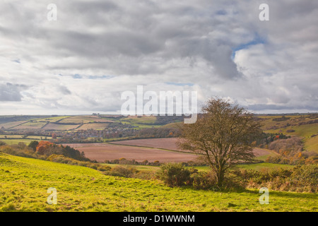 Die Dorset Landschaft in der Nähe von Cerne Abbas. Stockfoto