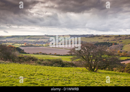 Dorset Landschaft in der Nähe von Cerne Abbas. Stockfoto