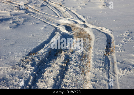 Schneemobil-Spuren im Schnee über gefrorene Feld Kanada Stockfoto