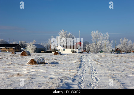 frische Spuren kreuzen tief Schnee im Feld in Richtung der kleinen ländlichen Dorf vergessen Saskatchewan Kanada Stockfoto