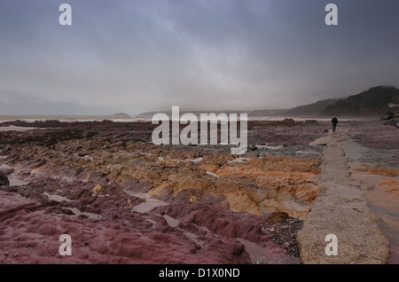 Welle schneiden Plattform Seaton Beach in South East Cornwall, Großbritannien im Winter Stockfoto