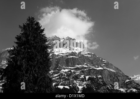 Winterschnee, Schrekhorn Berg, Skigebiet Grindelwald; Schweizer Alpen Jungfrau - Aletsch; Berner Oberland; Schweiz; Europa Stockfoto