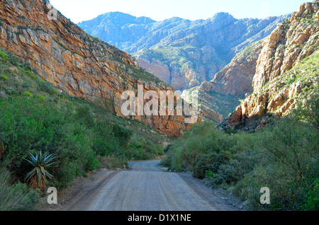 Unbefestigte Straße führt in die enge Schlucht durch Swartberg Mountains in der Nähe von Ladismith in der Karoo, Südafrika Stockfoto