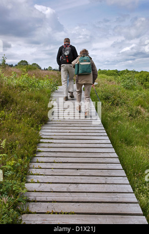 Wanderer auf Holzsteg im Moor am hohen Venn / Hautes Fagnes Naturschutzgebiet in den belgischen Ardennen, Belgien Stockfoto