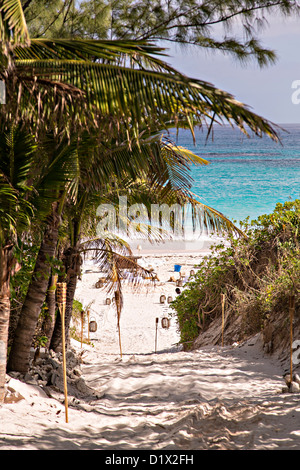 Strand-Pfad der rosa Sands Beach in Dunmore Town, Harbour Island, Bahamas Stockfoto