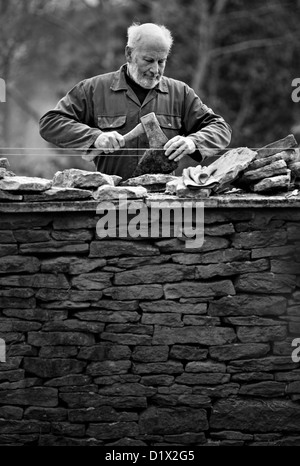 Steinmetzen bei der Arbeit, Aufbau einer Trockenmauer cotswold Stockfoto