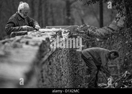 Steinmetzen bei der Arbeit, Aufbau einer Trockenmauer cotswold Stockfoto