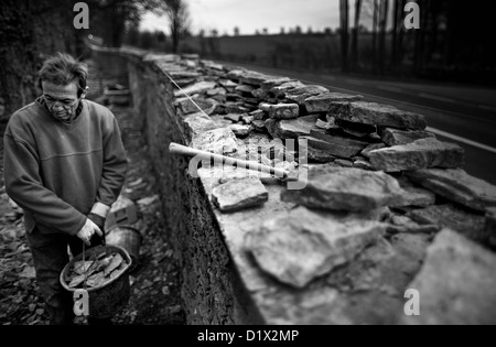 Steinmetzen bei der Arbeit, Aufbau einer Trockenmauer cotswold Stockfoto