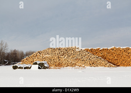 Gestapelte Schnitt protokolliert in einer ländlichen Winterlandschaft, Nordminnesota. Stockfoto