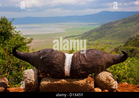 Ngorongoro-Krater in Tansania, Afrika. Ngorongoro Conservation Area Stockfoto