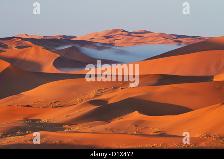 Morgendliche Aussicht von Dünen im Sossusvlei in Namibia Stockfoto