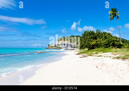 Einem idyllischen Strand in der Karibik - Darkwood Strand in Antigua Stockfoto