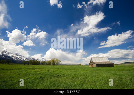 Eine alte Scheune in Mormon Zeile im Grand Teton National Park mit dramatische Wolken, Wyoming. Stockfoto