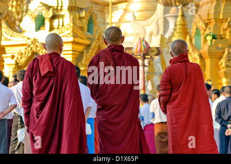 Mönche, die Teilnahme an Morgengebet Service an der Shwedagon, Yangon, Myanmar Stockfoto