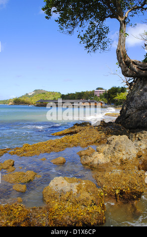 Warfe Strand in St. Lucia Stockfoto