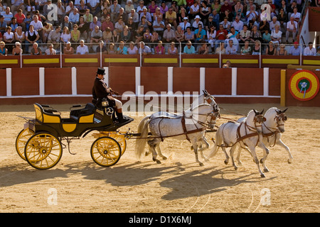 Nationaler Wettbewerb Haken Fair Fuengirola Malaga Costa Del Sol Andalusien Spanien Stockfoto
