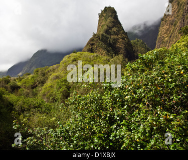 Mauis ' Iao Needle Stockfoto