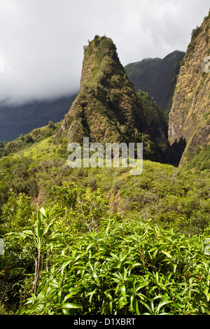 Mauis ' Iao Needle Stockfoto