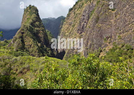 Mauis ' Iao Needle Stockfoto