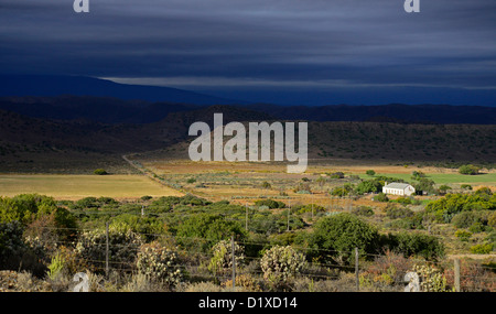 Stürmischer Himmel über Karoo Bauernhaus nahe Barrydale, Klein Karoo, Südafrika Stockfoto
