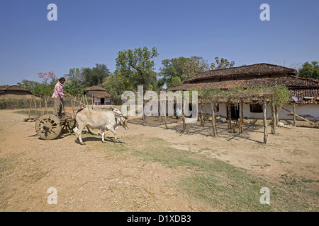 Typisches Haus und Farmer auf Wagen, Gond Stamm, Gadchiroli, Maharashtra, Indien. Stockfoto