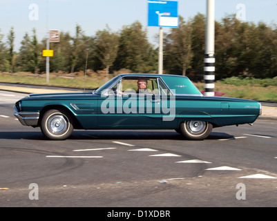 Oldtimer-Meeting Haarlem Ford Thunderbird Stockfoto