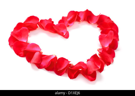 Rote Rosenblüten, angeordnet in Form eines Herzens mit textfreiraum in der Mitte, isoliert auf weißem Hintergrund mit leichten Schatten. Stockfoto