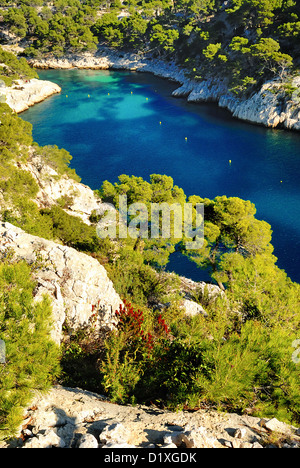 Calanques von Port-Pin in Cassis in Frankreich in der Nähe von Marseille Stockfoto