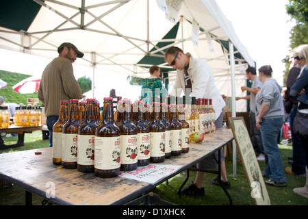 Flaschen aus Apfelwein und Apfelsaft auf Stall in Dane John Gärten, Canterbury, auf der Eurofair 2010 Stockfoto