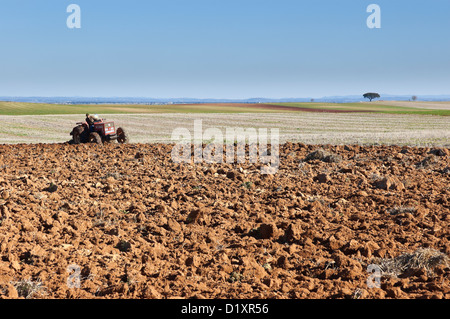 Bauer, der pflügt des Feldes in der weiten Ebene des Alentejo, Portugal Stockfoto