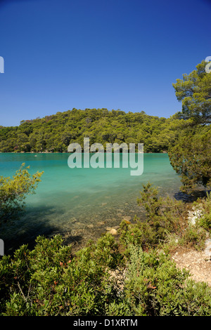 Kroatien, Dalmatien, Insel Mljet, See Malo Jezero Stockfoto