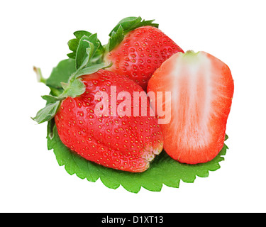 rote reife Erdbeeren auf weißem Hintergrund isoliert Stockfoto