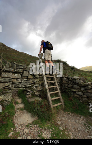 Erwachsene männliche Walker auf Nab Narbe fiel, Nationalpark Lake District, Cumbria County, England, UK. Stockfoto