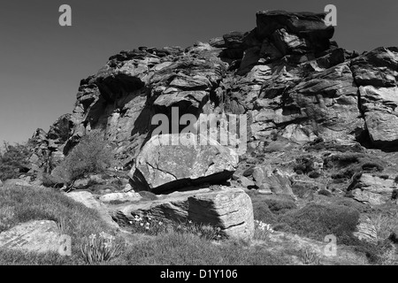 Sommer-Blick auf die Felsformationen der Schaben Felsen, Staffordshire, England, UK Stockfoto