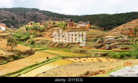 Reisfelder und Steinbruch durch ein Dorf auf der Hochebene in der Nähe von Antananarivo Stockfoto