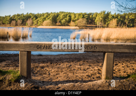 Blauen Himmel am 1. Januar 2013 bei Frensham Pond in der Nähe von Farnham, Surrey, UK Stockfoto