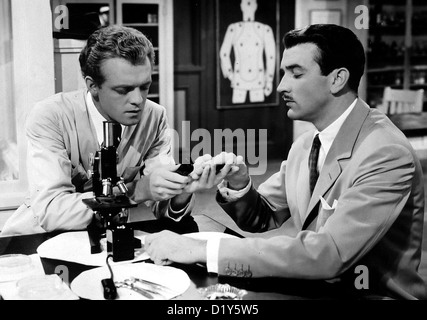 Der Gentleman-Killer Kid Glove Killer Van Heflin, Lee Bowman In Muehevoller Kleinarbeit Versucht McKay (Van Heflin) Stockfoto