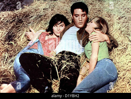 Sterben Sie die Wilden Weiber Von Tennessee Kissin ' Cousins Yvonne Craig, Elvis Presley, Pam Austin Josh (Elvis Presley) Zwischen Azalee Stockfoto