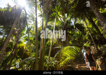 Touristen besuchen Vallee de Mai Nature Reserve, Insel Praslin, Seychellen Stockfoto