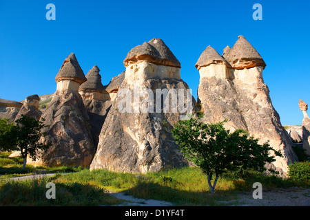 Feenkamine Felsformationen im Freilichtmuseum in der Nähe von Göreme, Capadocia Türkei Stockfoto