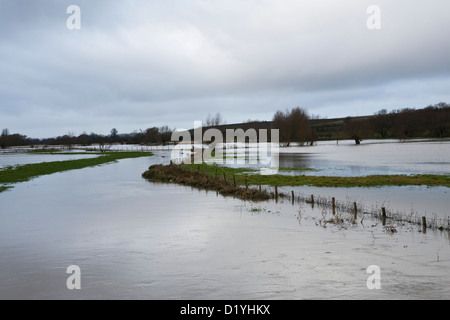 Überschwemmungen in Buckinghamshire Stockfoto