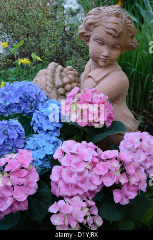 Hortensia, gemeinsame Hortensie (Hydrangea Macrophylla). Junge, hergestellt aus Keramik neben Rosa und blaue Blüten am Rand eines Gartens Stockfoto