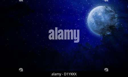 Nachtansicht des Vollmonds Stockfoto