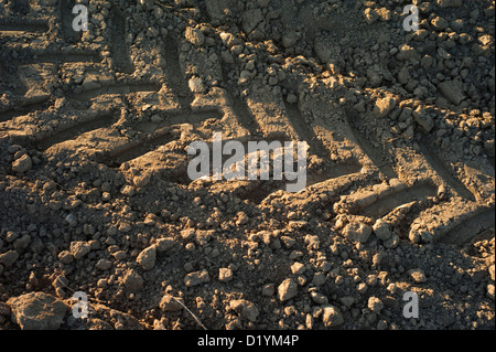 Traktorspuren in trockene Erde Stockfoto