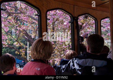 Passagiere in einem Tour-Bus sehen die Kirschblüten in Washington DC USA Ende März Stockfoto