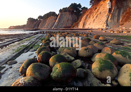 Bowling Ball Beach, Schoner Gulch, Point Arena, Kalifornien, USA Stockfoto