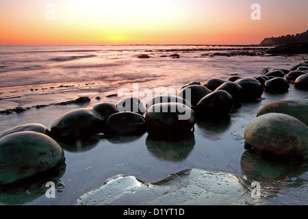 Bowling Ball Beach, Schoner Gulch, Point Arena, Kalifornien, USA Stockfoto